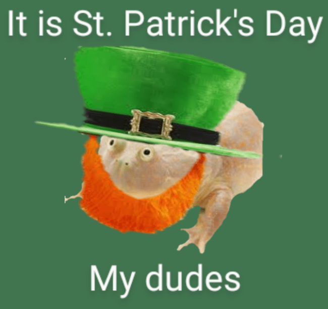 35 St. Patrick's Day Memes That'll Make You Laugh So Hard You Spit Out ...