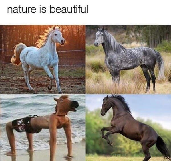 unhinged animal memes - horse nature is beautiful