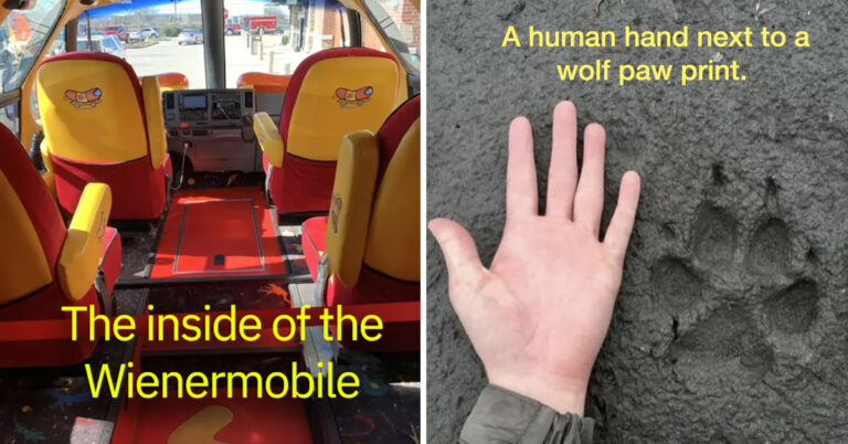 35 Interesting Pictures Taken From Angles Or Perspectives You’ve Never Seen Before