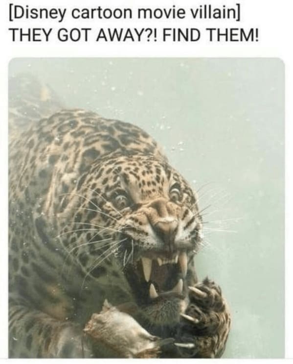 unhinged animal memes - jaguar disney cartoon movie villain they got away find them