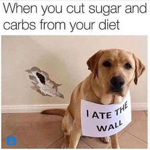 keto memes funny - dog ate the wall