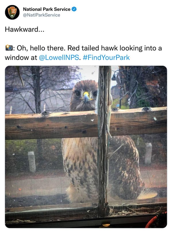 national park service twitter - hawkward