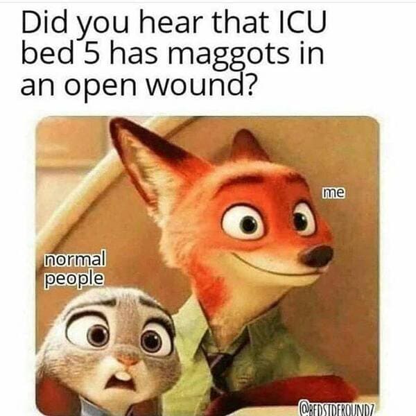 nursing memes - zootopia