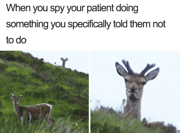 nursing memes - angry deer