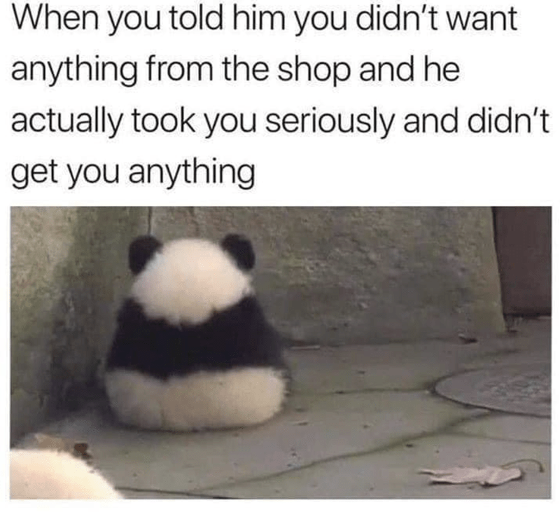 sarcastic relationship memes - panda didn't want anything