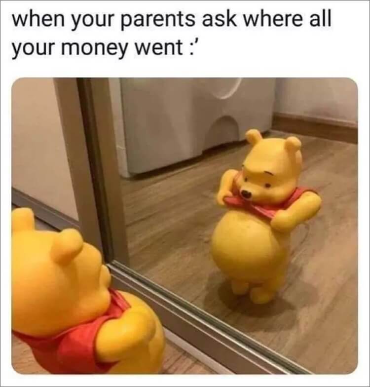 money meme - where my money went pooh