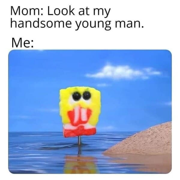 memes funny spongebob