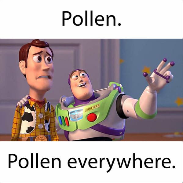 spring memes - pollen - pollen everywhere - buzz and woody toy story meme