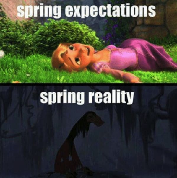spring memes - spring expectations vs reality