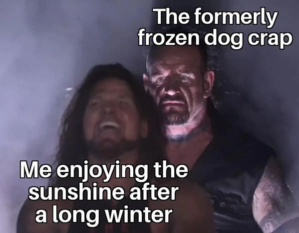 spring memes - the formerly frozen dog crap - me enjoying the sunshine after a long winter