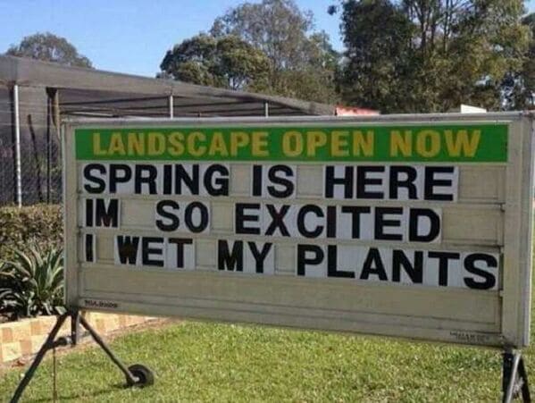 spring memes - spring is here I'm so excited I wet my plants landscape open now