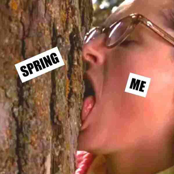 spring memes - spring me - superstar movie