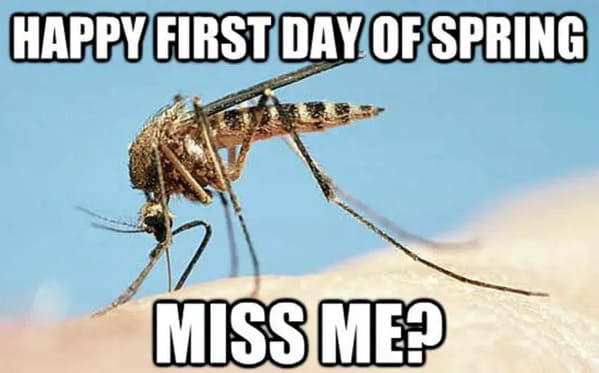 spring memes - happy first day of spring - miss me - mosquito
