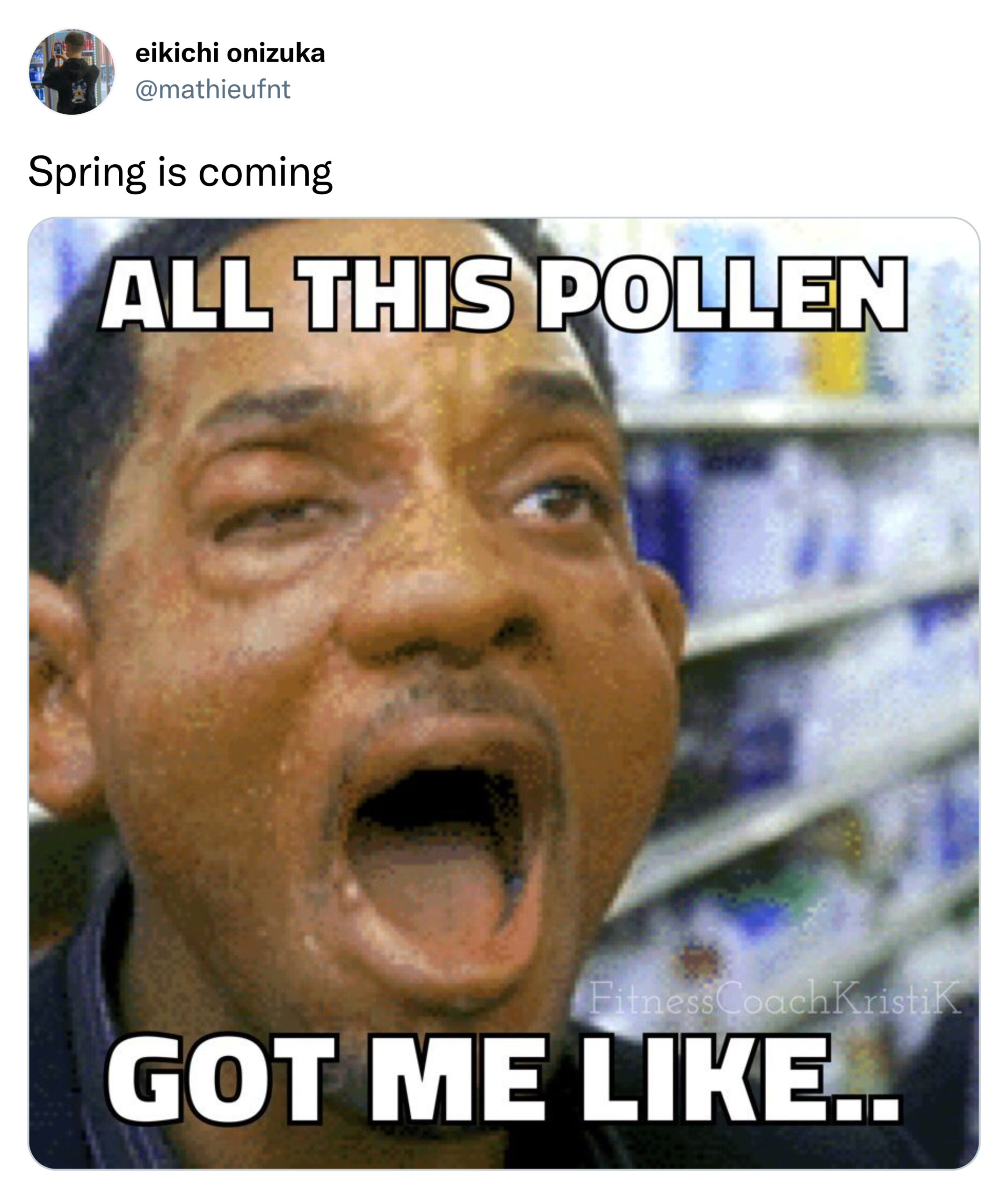 spring memes - all this pollen got me like - will smith hitch allegies