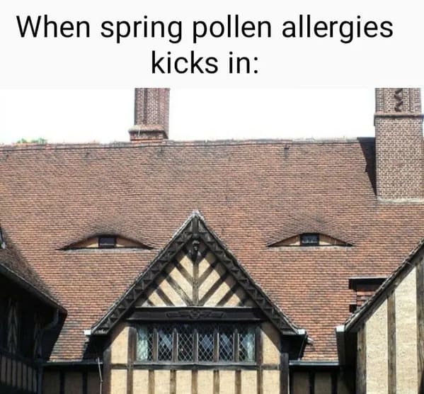 spring memes - when spring pollen allergies kick in