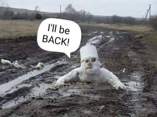 spring memes - I'll be back melting snowman
