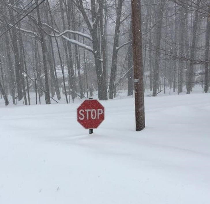 weird humor pics - stop sign in snow