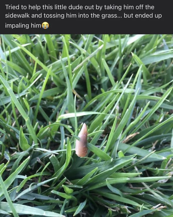 there was an attempt - to save a slug