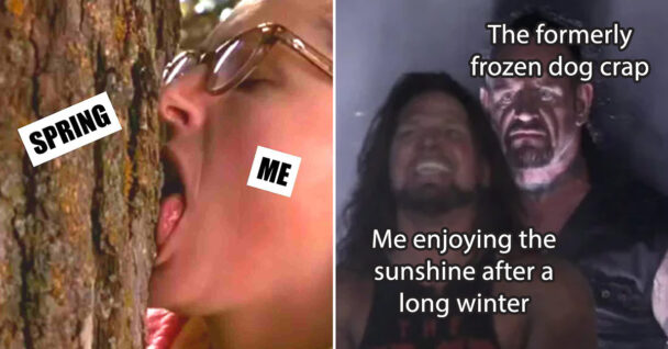 spring memes - formerly frozen dog crap undertaker - spring me superstar movie meme