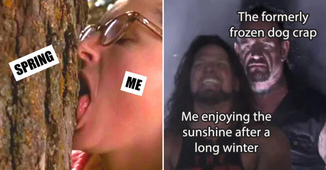 Spring Has Sprung And So Have The Spring Memes (25 Memes)