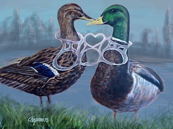travis chapman art - ducks in six-pack rings