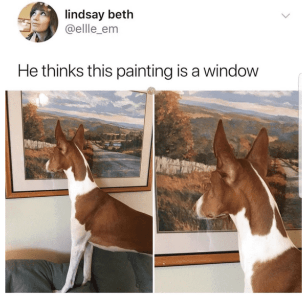 blessed images - dog thinks painting is a window