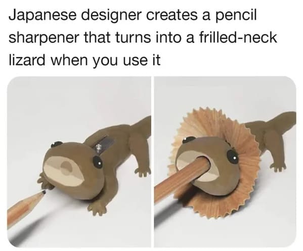 wholesome memes - pencil sharpener frilled-neck lizard