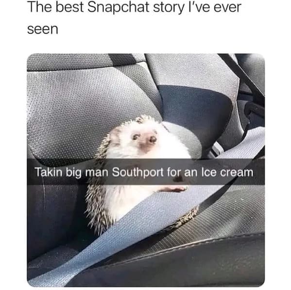 wholesome memes - hedgehog