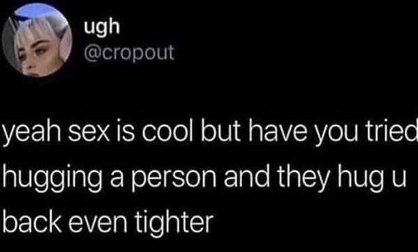 wholesome memes - sex is cool but have you tried hugging a person and they hug u back even tighter