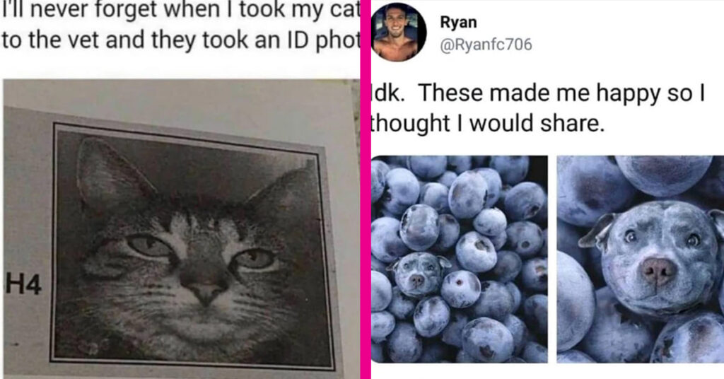 blessed wholesome images featured image