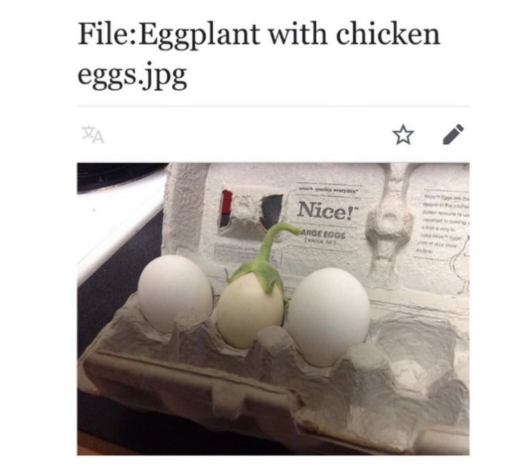 depths of wikipedia - eggplant with chicken eggs