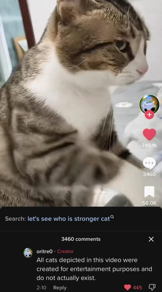 Unhinged TikTok Screenshots — Animal Edition (17 Posts)