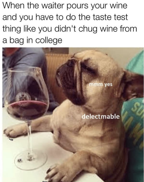 unhinged animal memes - wine and have do taste test thing like didnt chug wine bag college tip tan mmm yes delectmable