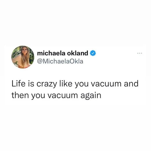 funny 30s meme - you vacuum then you have to vacuum again