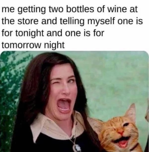 funny 30s meme - getting my two bottles of wine