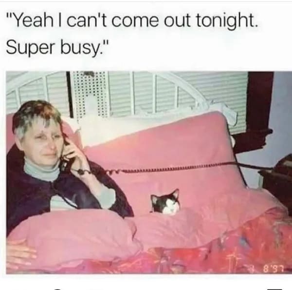 funny 30s meme - I can't come out tonight