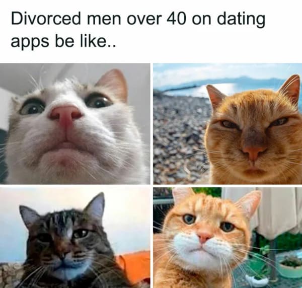 funny 30s meme - divorced men over 40 on dating apps