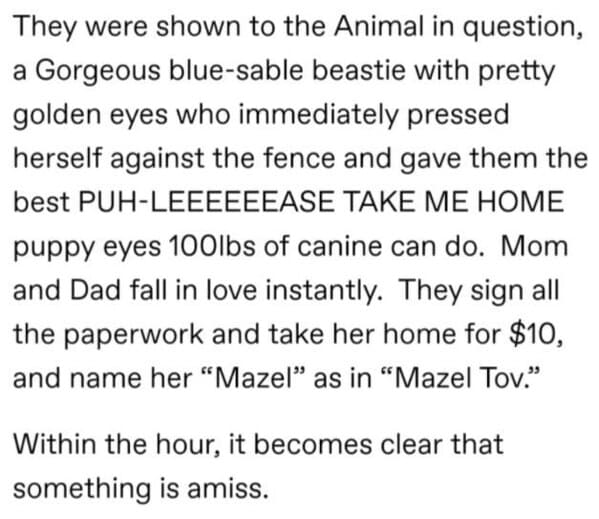 Mom Gives Forever Home To Adopted 'Dog' In Heartwarmingly Wholesome Tumblr Thread - Jarastyle