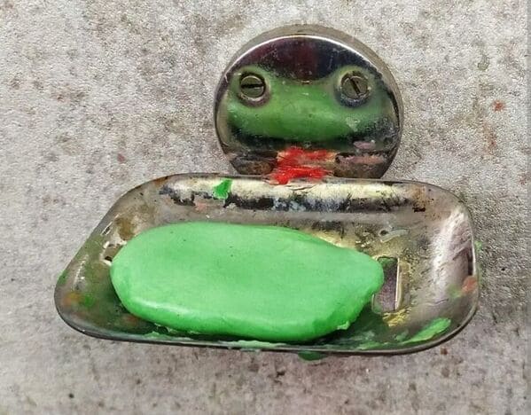 accidental surrealism - frog soap dish