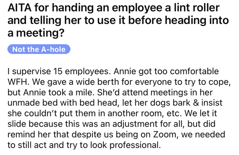 AITA for handing an employee a lint roller and telling her to use it before heading into a meeting?