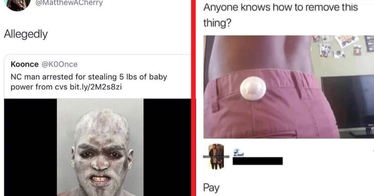 20+ Of The Funniest Internet Comments And Comebacks Of All Time (From This Week)