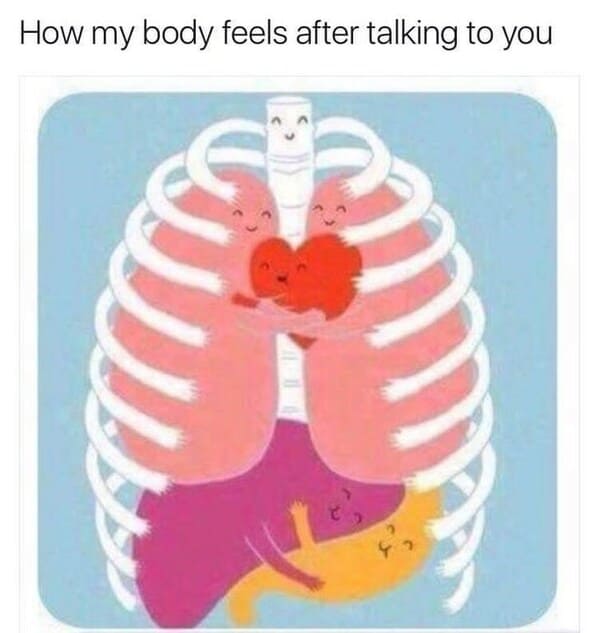 wholesome relationship memes - animal my body feels after talking