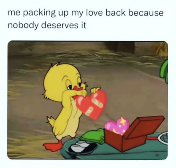 wholesome relationship memes - animal packing up my love back because nobody deserves