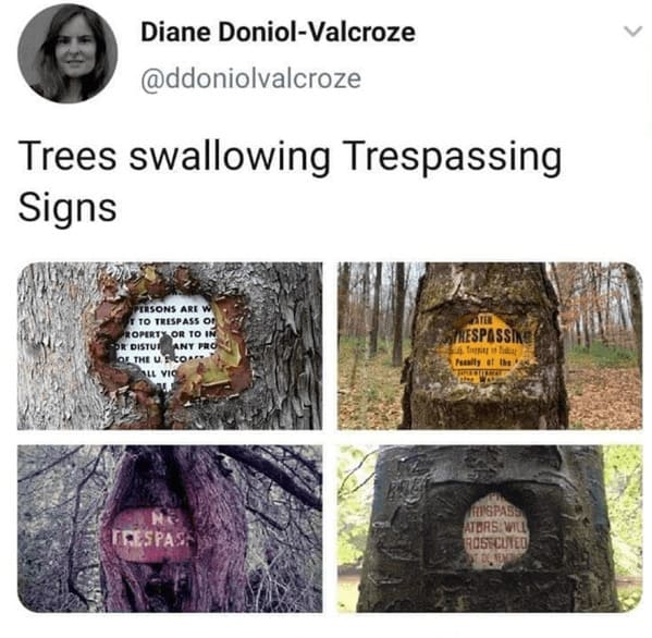 earth day memes - trees swallowing trespassing signs