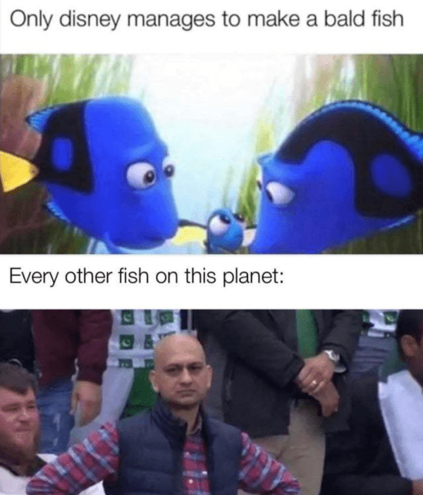 funny bald meme - bald fish