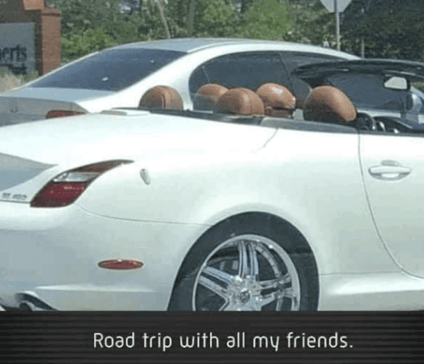 funny bald meme - bald guy in car