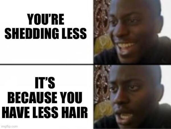 funny bald meme - less shedding means you have less hair
