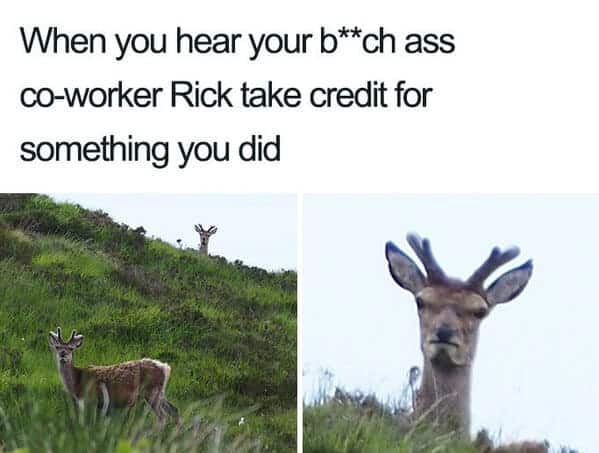 40 Funniest Coworker Memes For You And Your Overworked And Undervalued Teammates This Week (July 3, 2023) - Jarastyle