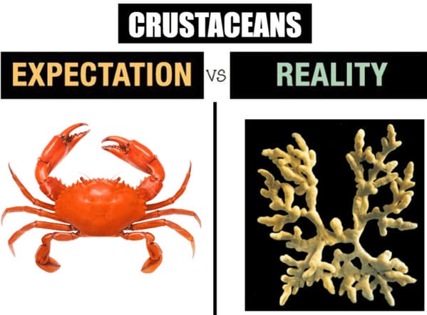 earth day memes - crustaceans expectation vs reality