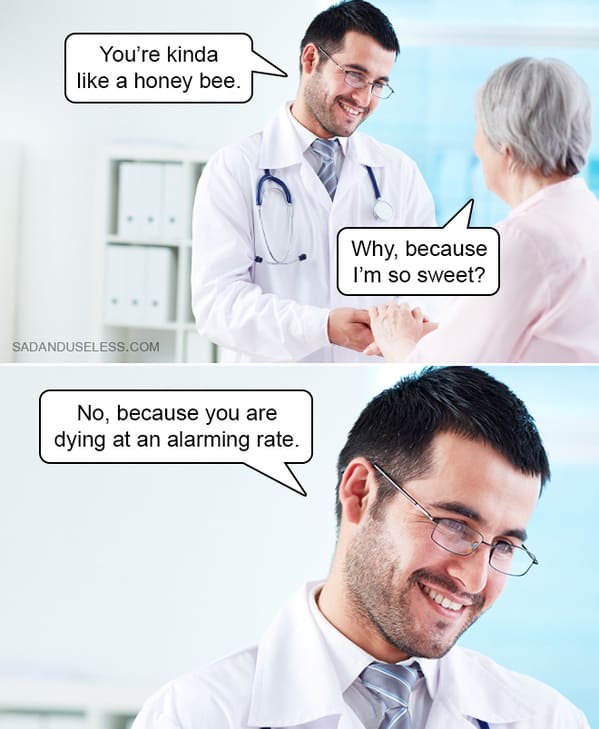 dark humor memes - honey bee dying at alarming rate